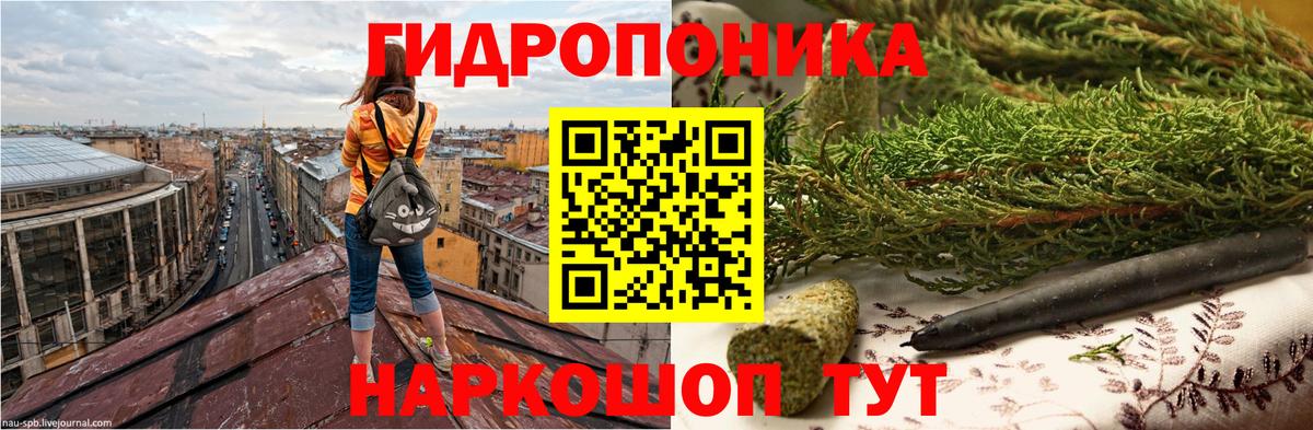 Каннабис конопля  Марихуана индика  Марихуана марихуана  Вход с VPN  Канабис VHQ  Мытищи 